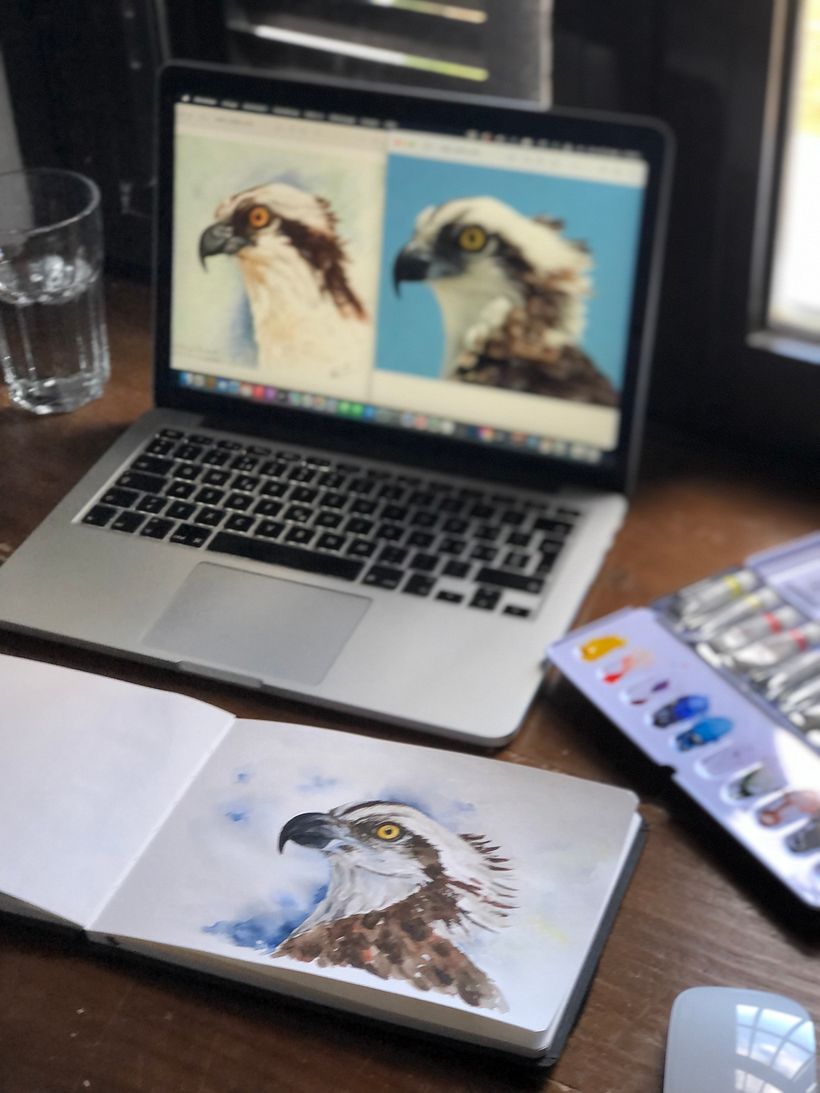 My project for course: Artistic Watercolor Techniques for Illustrating Birds 2
