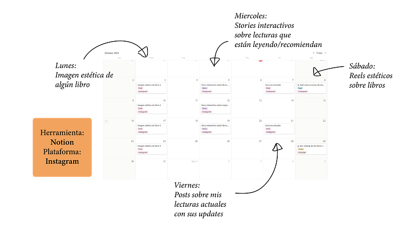 Mi proyecto del curso: Introducción al community management 5