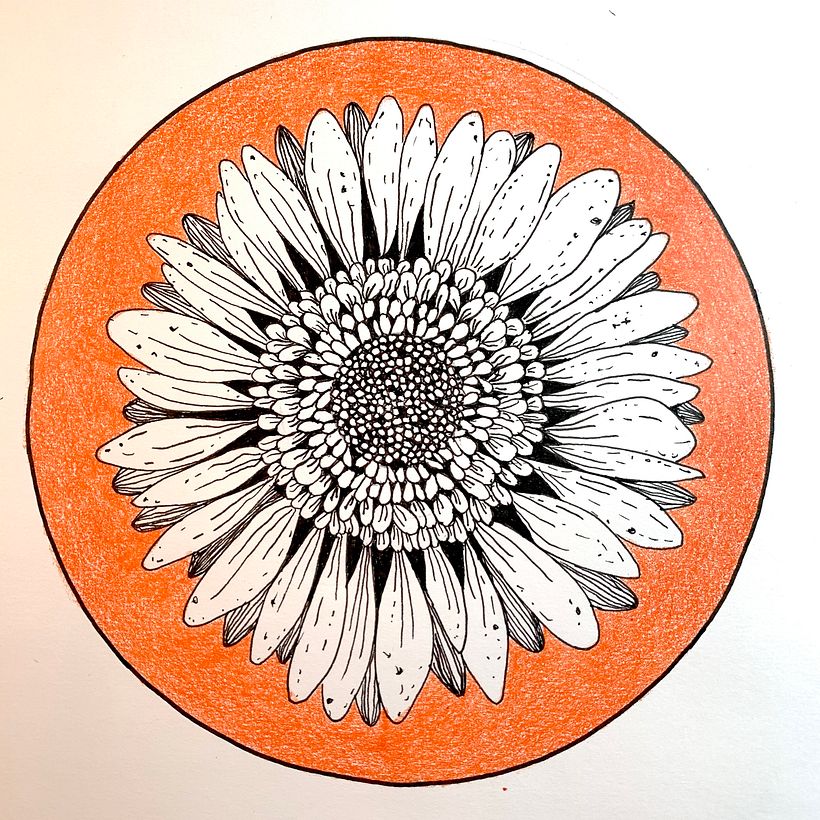 Pen and Ink