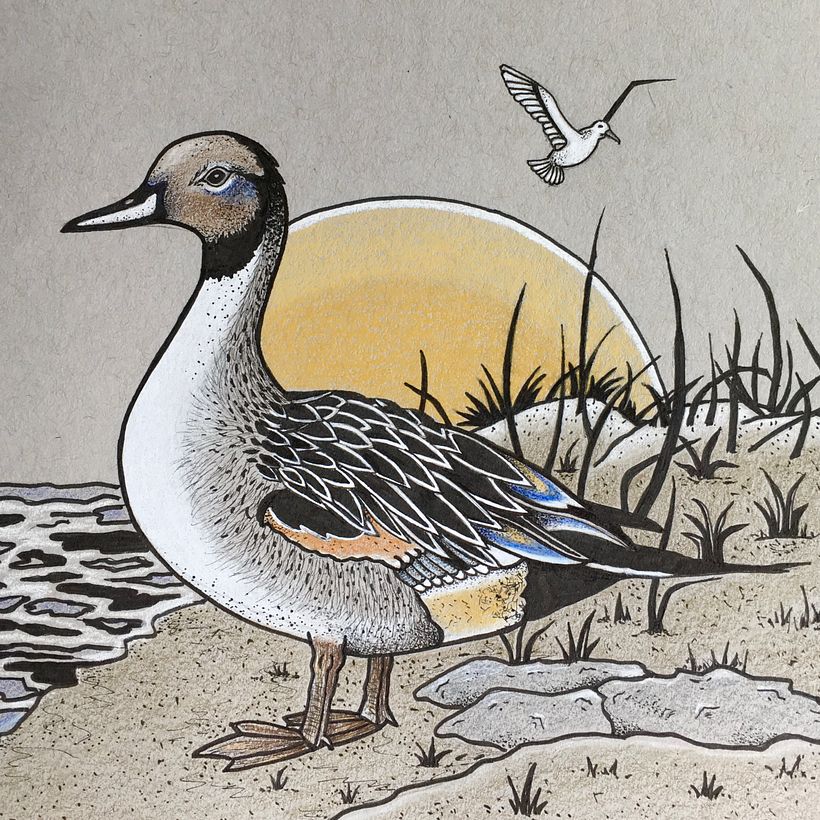 Colored Pencil on Gray Toned Paper