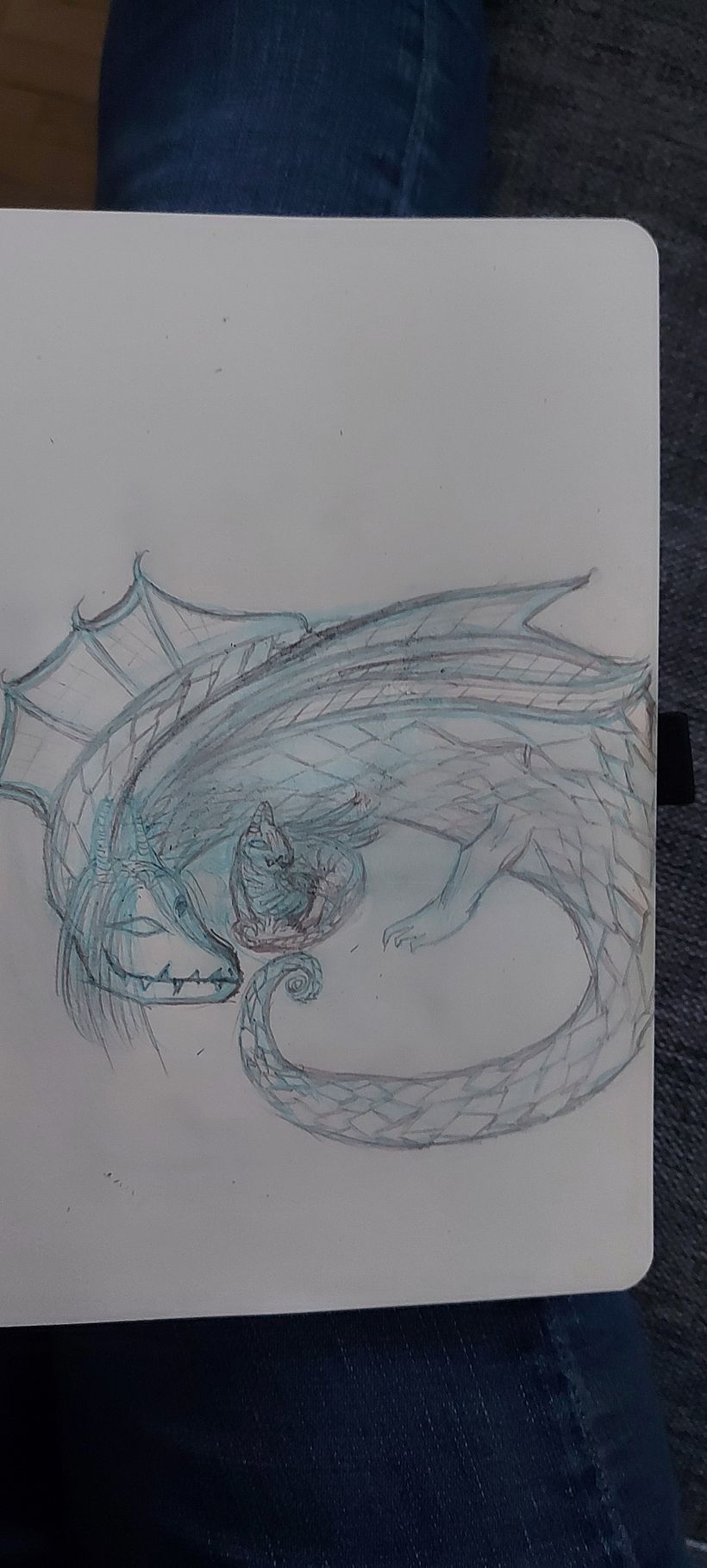 Me drawing my first dragon(s)