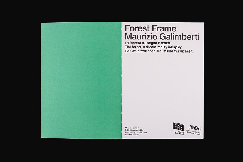 Forest Frame 5