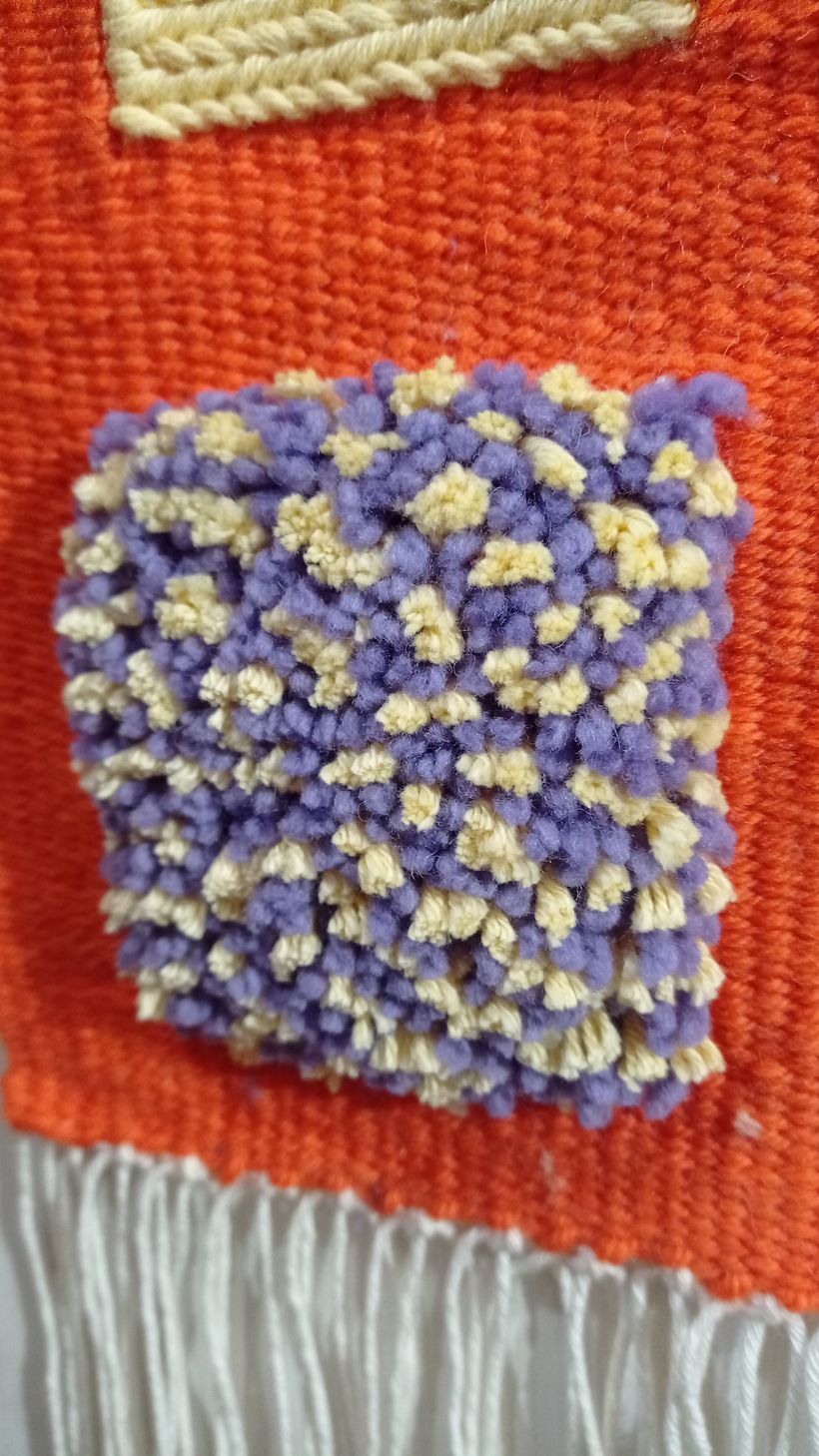Mi proyecto del curso: Tejido de tapices de lana en relieve con flecos y texturas 3