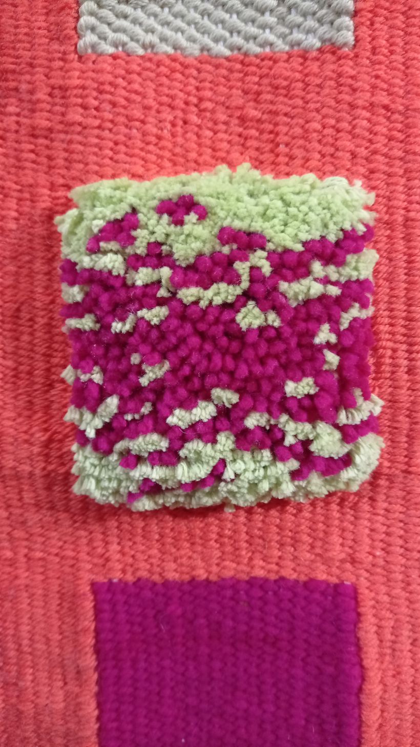 Mi proyecto del curso: Tejido de tapices de lana en relieve con flecos y texturas 3