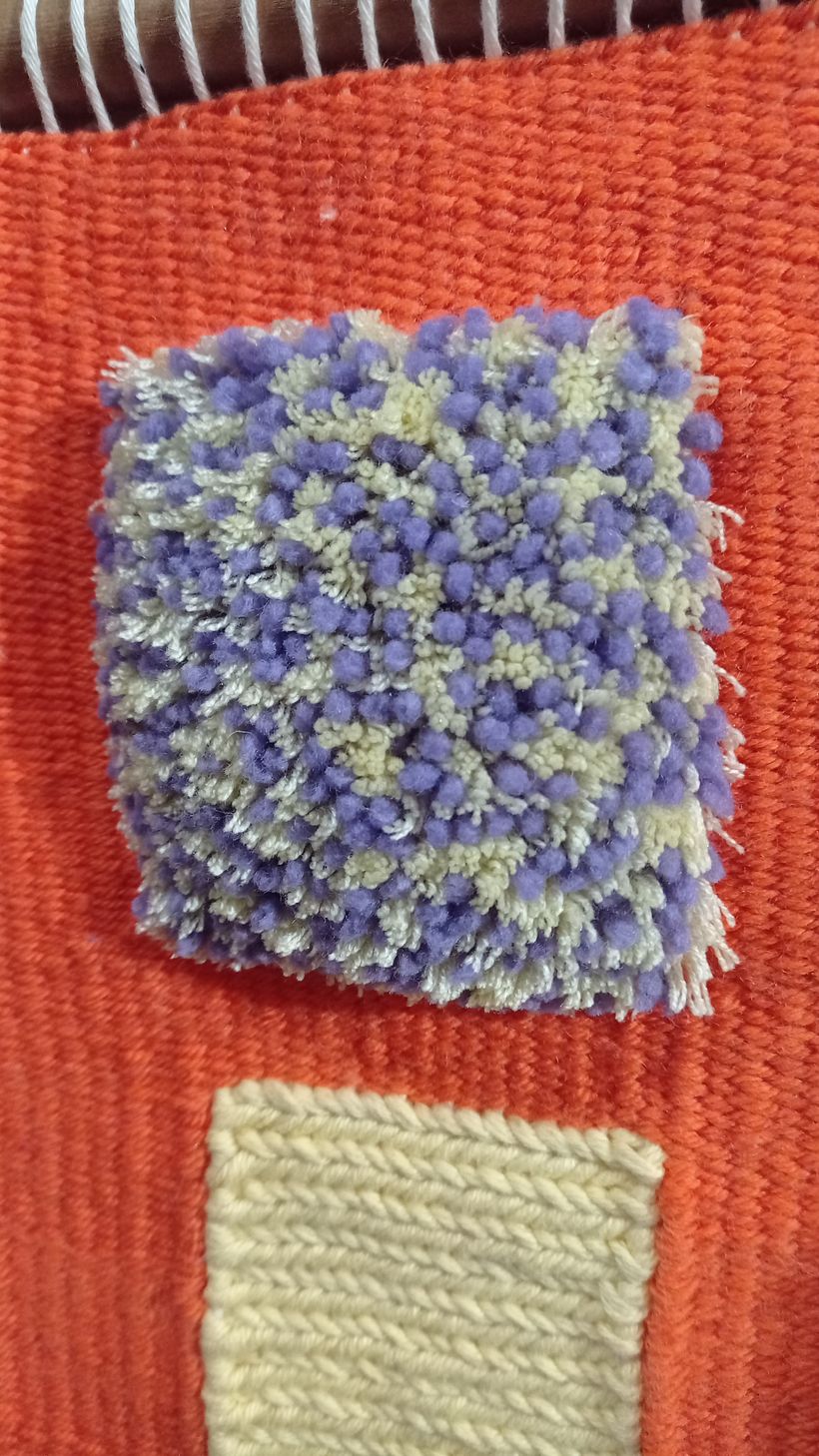Mi proyecto del curso: Tejido de tapices de lana en relieve con flecos y texturas 4