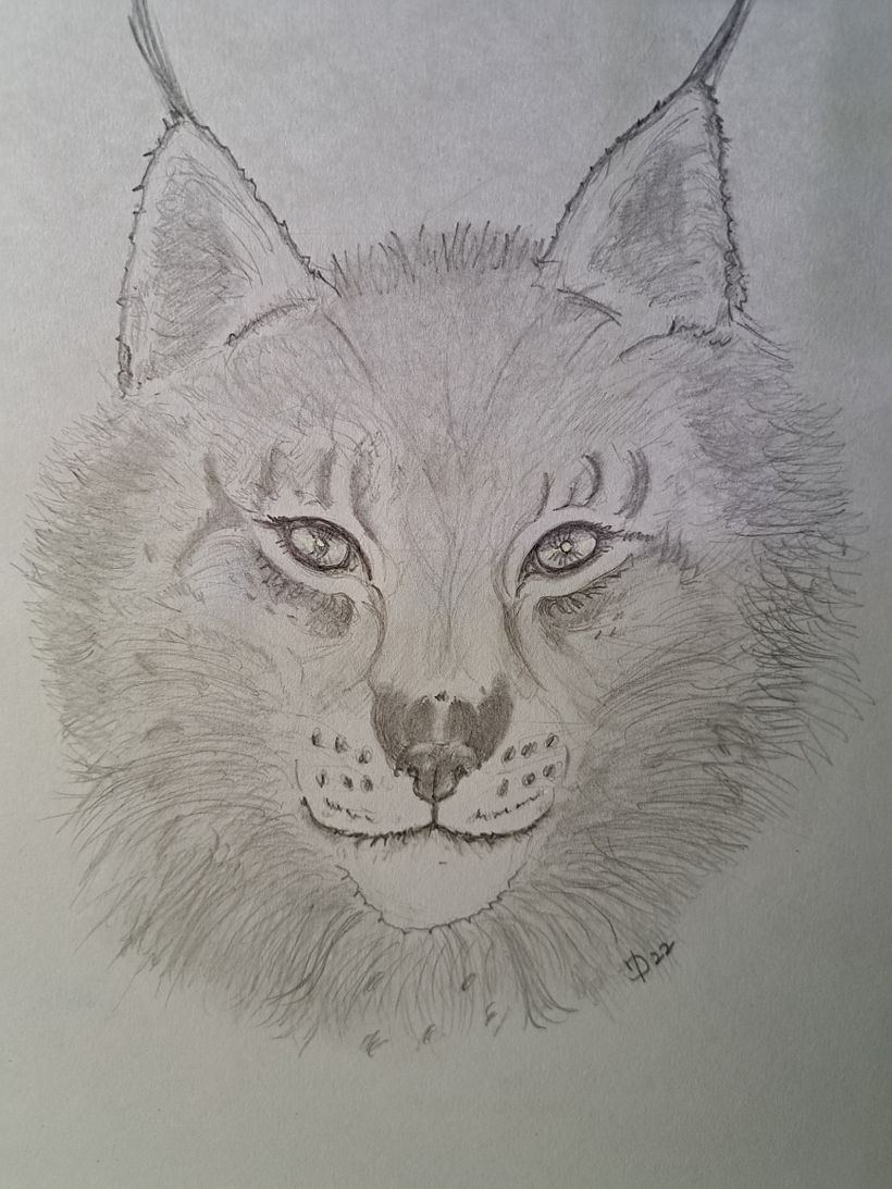 My project for course: Naturalistic Animal Drawing with Graphite Pencil 1