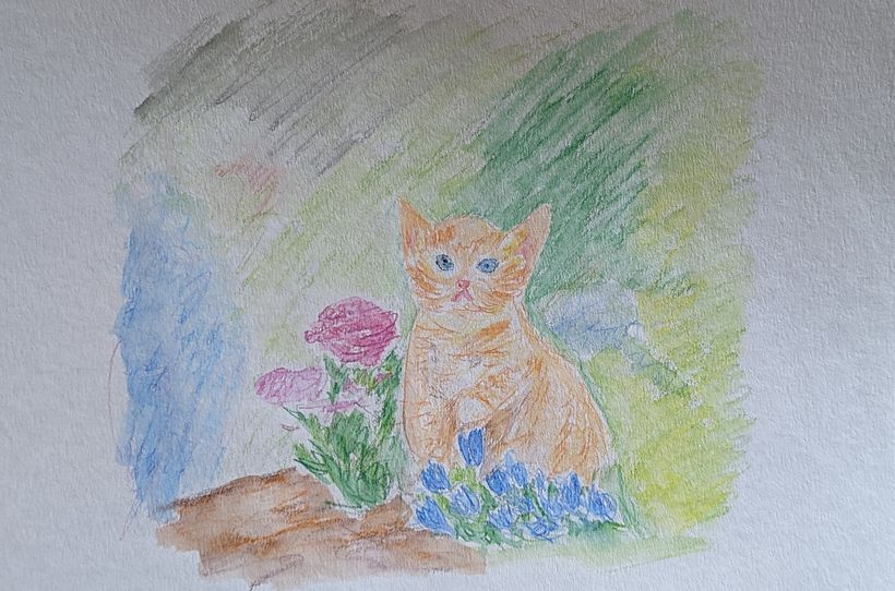 kitten