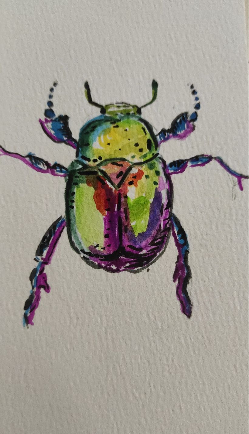 Scarab