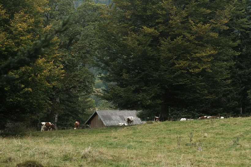 Places 1