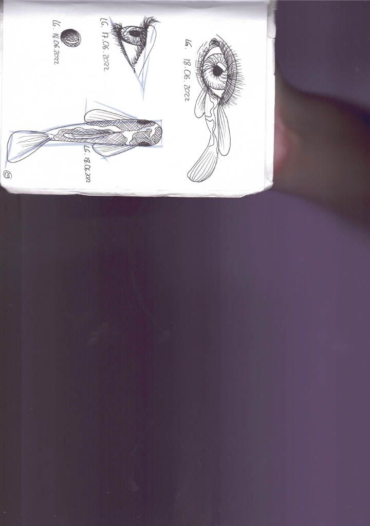 Mein Abschlussprojekt für den Kurs: Tägliches Sketching für kreative Inspiration 7