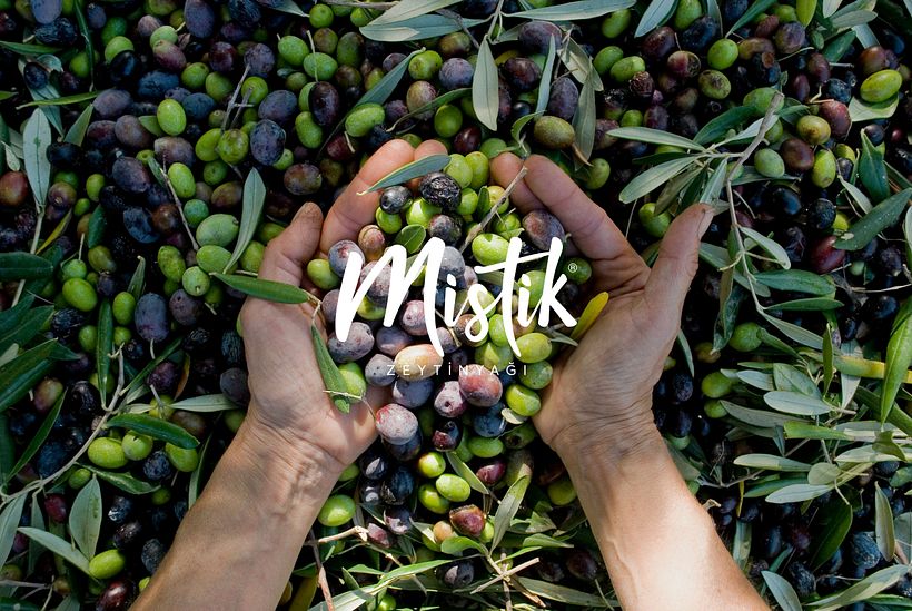 MISTIK 2022 LOGO AND CORPORATE ID 14