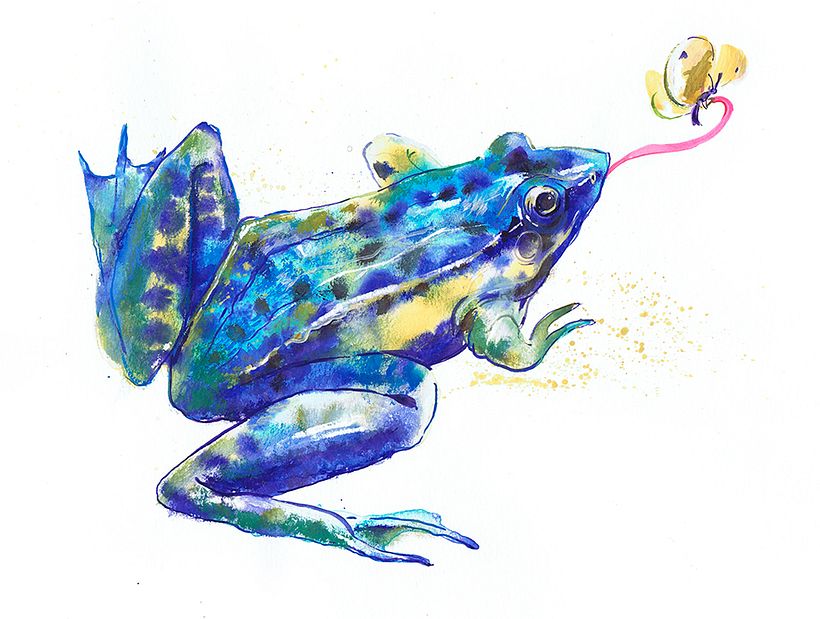 Mi proyecto del curso: Técnicas de ilustración creativa con gouache 3