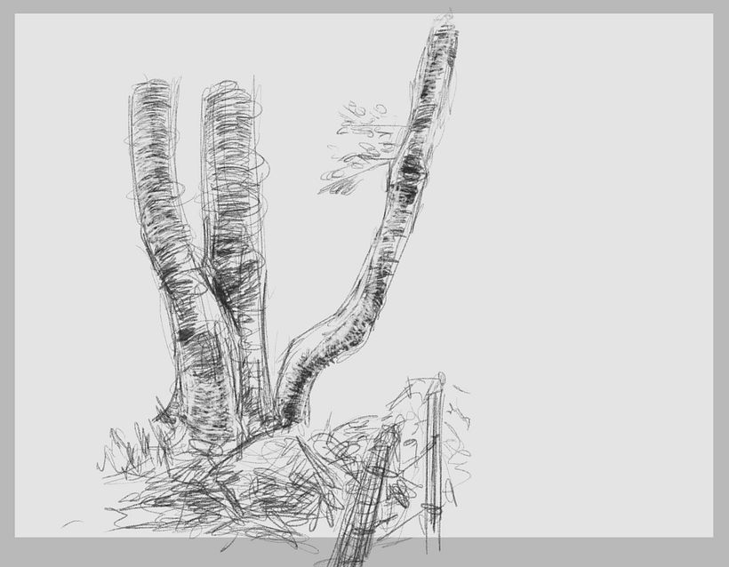 Tree sketches 1