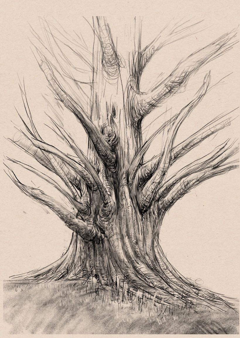 Tree sketches 2