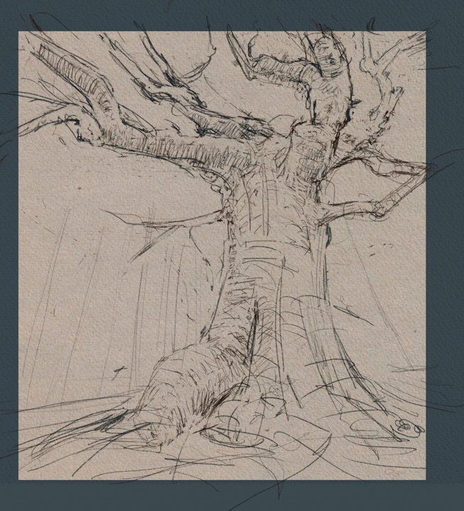 Tree sketches 4