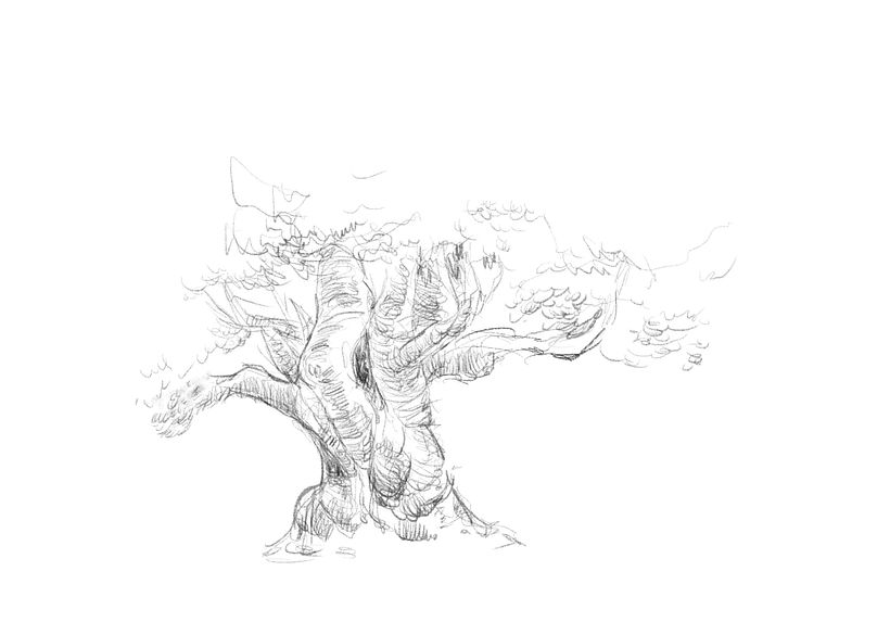 Tree sketches 5