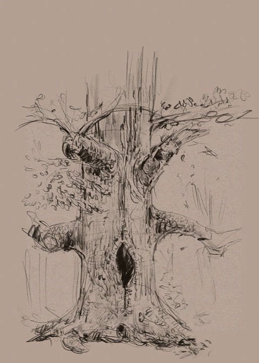 Tree sketches 7