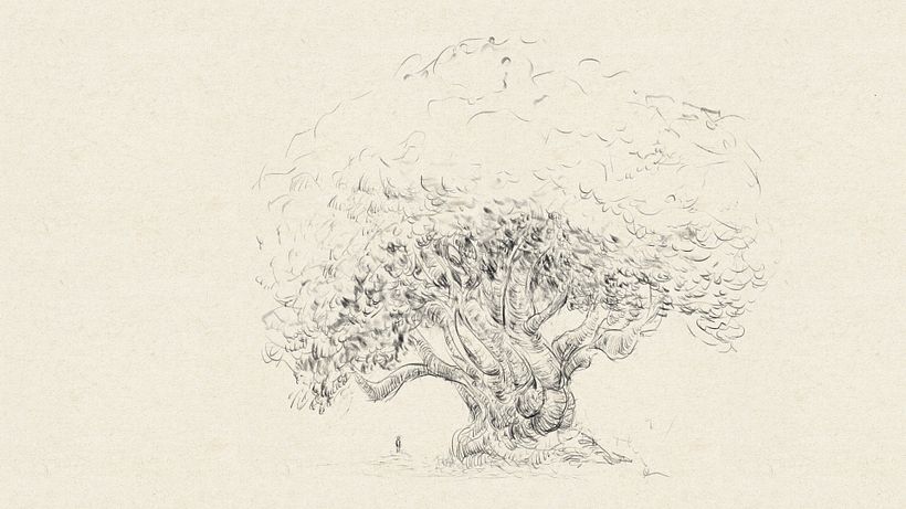 Tree sketches 8