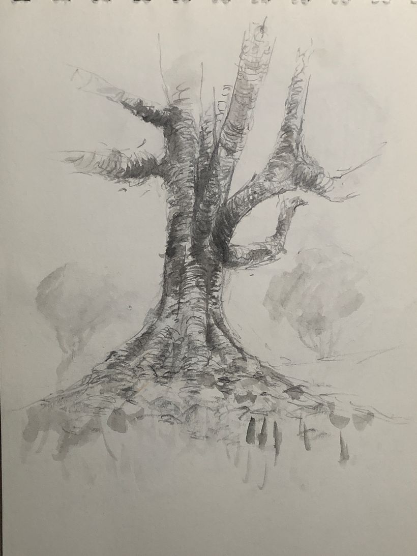 Tree sketches 10