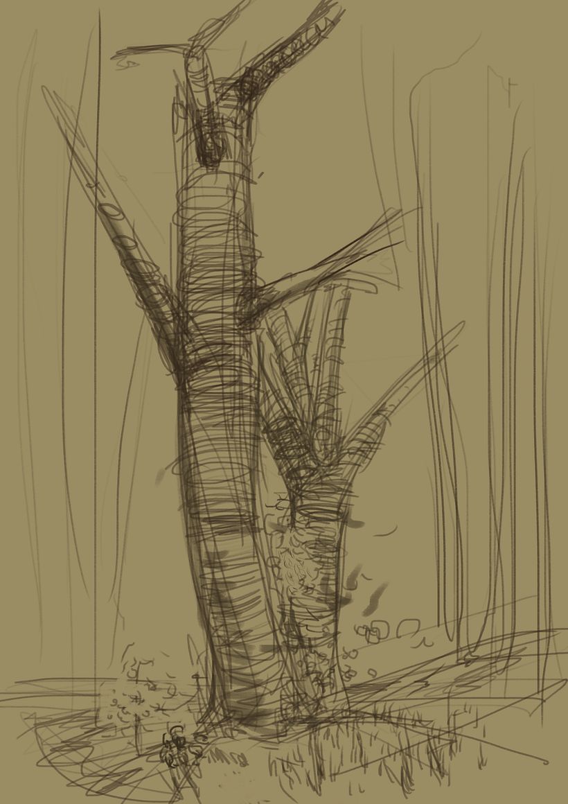 Tree sketches 13