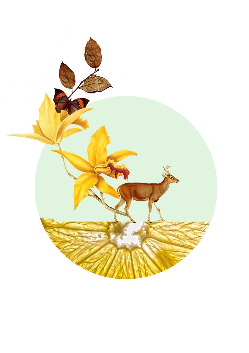 My project for course: Paper Collage Murals: Create Nature-Inspired Wall Art 2