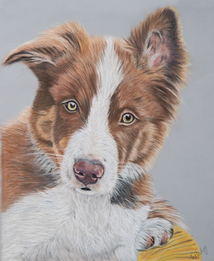 Puppy Reacher (pastel)