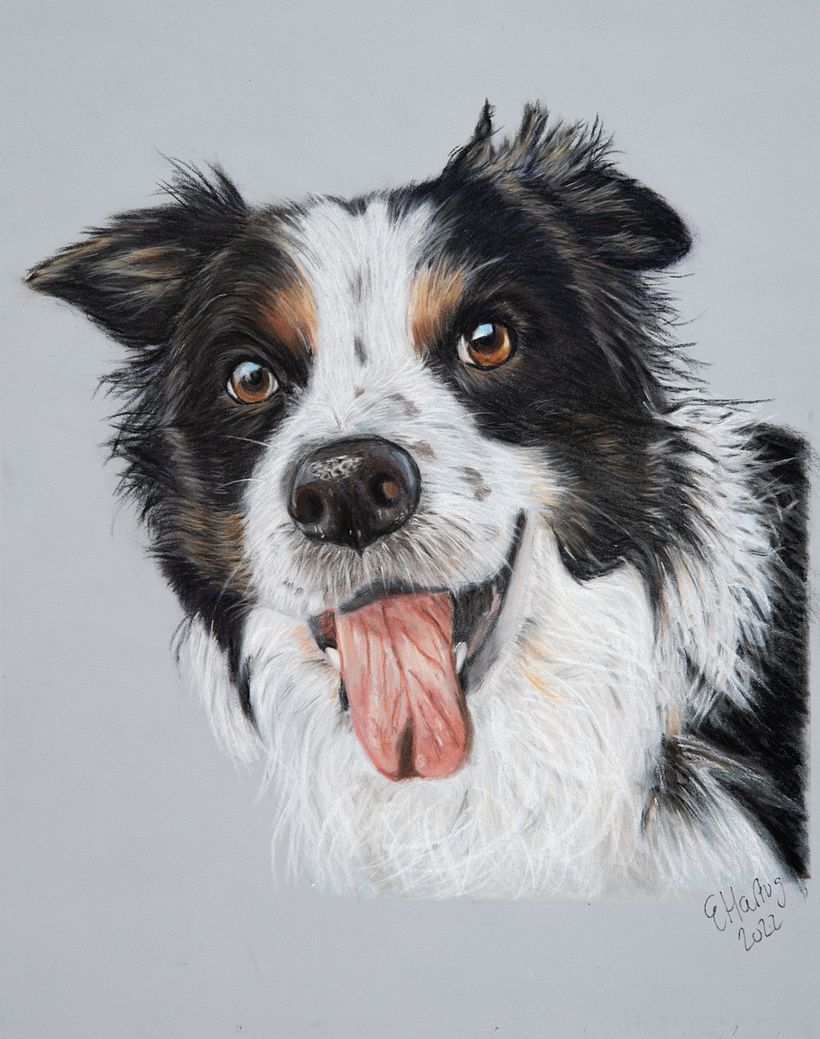 Oliver (pastel)