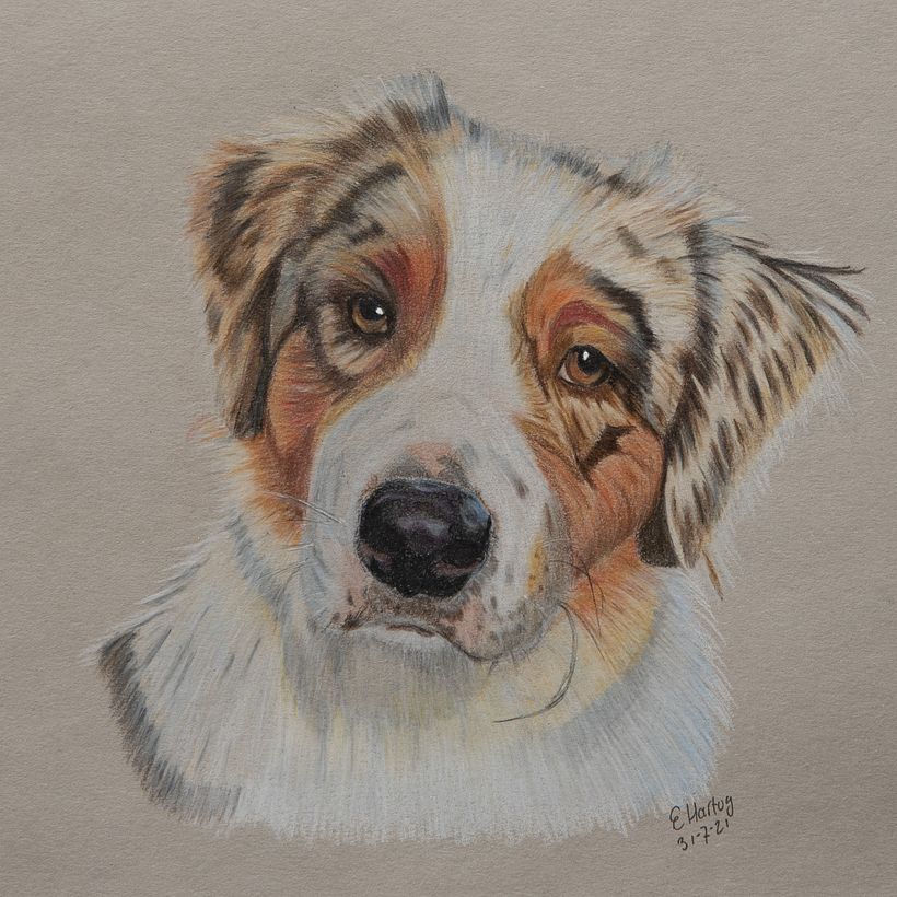 Roxy (kleurpotloden)