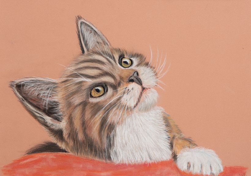 Poesje (anoniem) met pastel