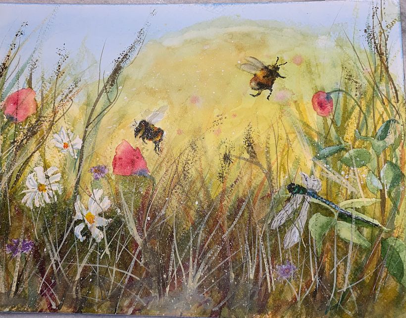 My project for course: Illustrating the Natural World with Watercolor and Charcoal 1