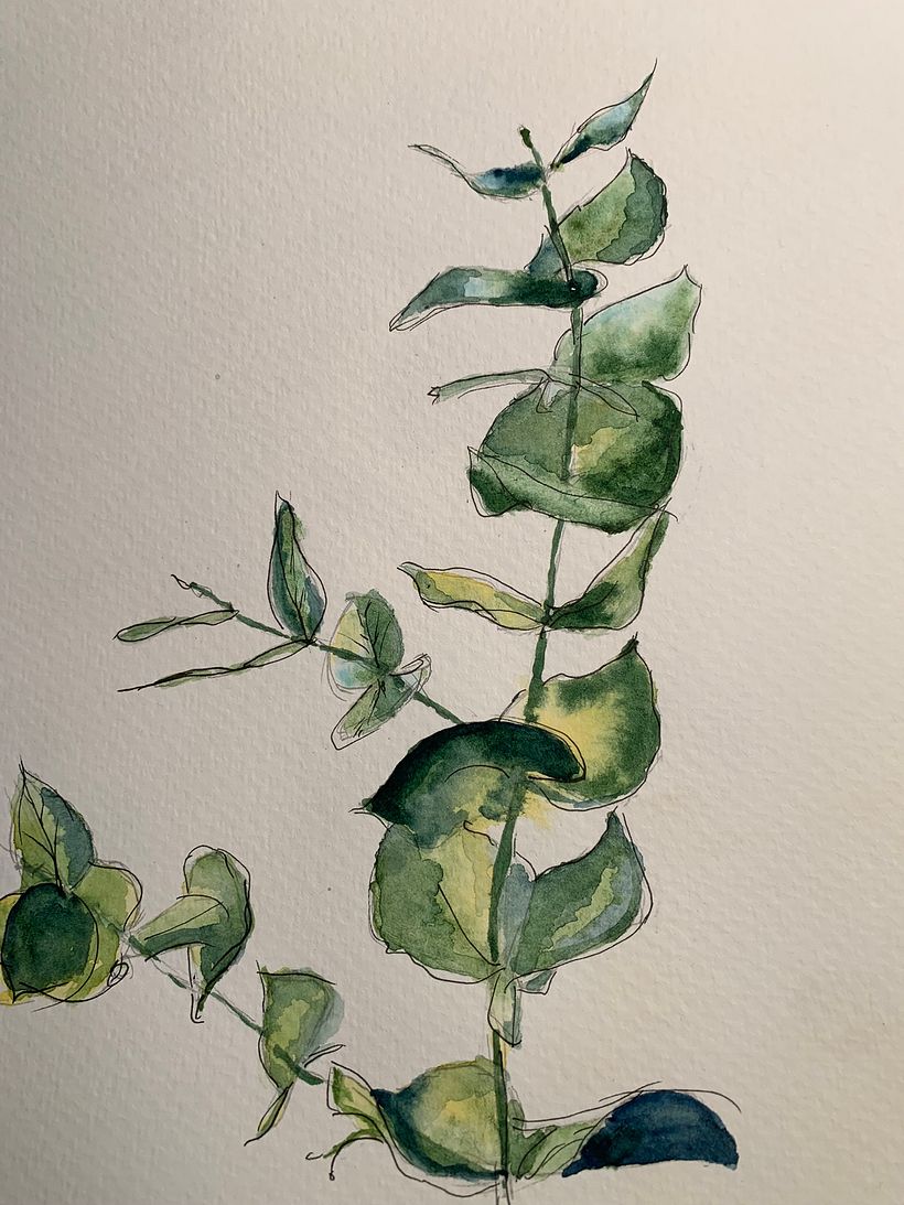 My project for course: Illustrating the Natural World with Watercolor and Charcoal 4