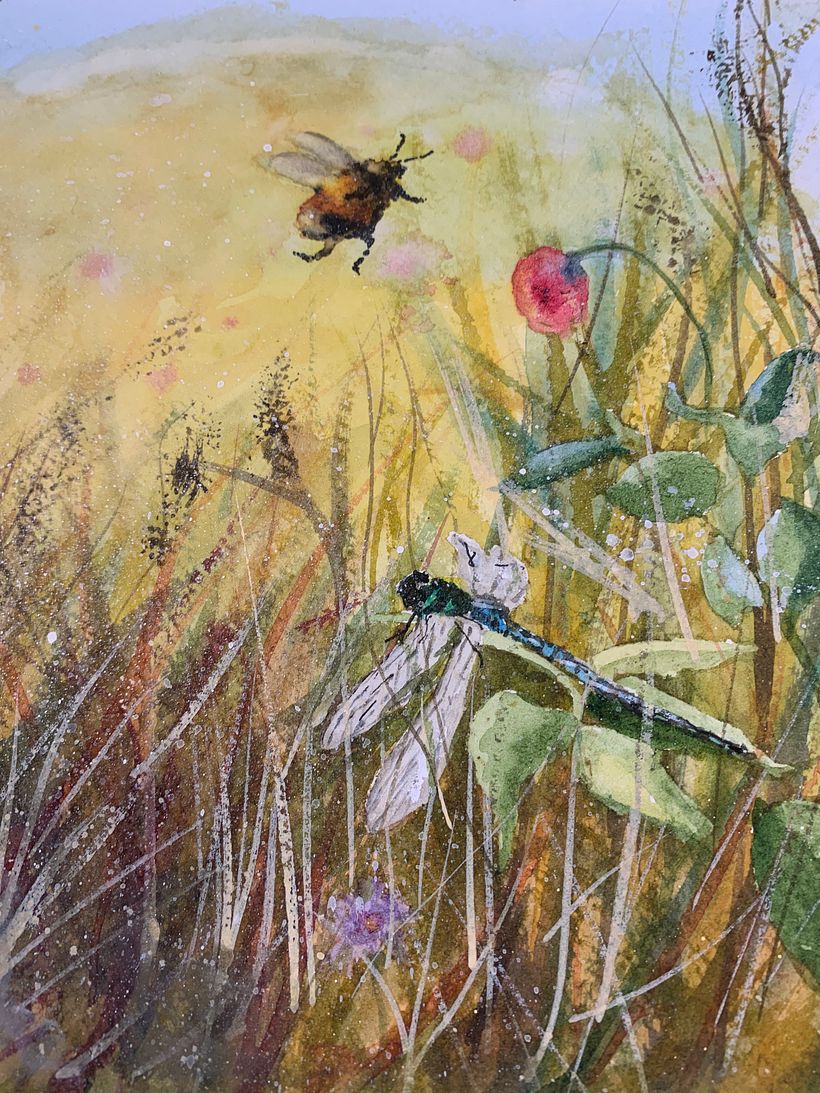 My project for course: Illustrating the Natural World with Watercolor and Charcoal 6