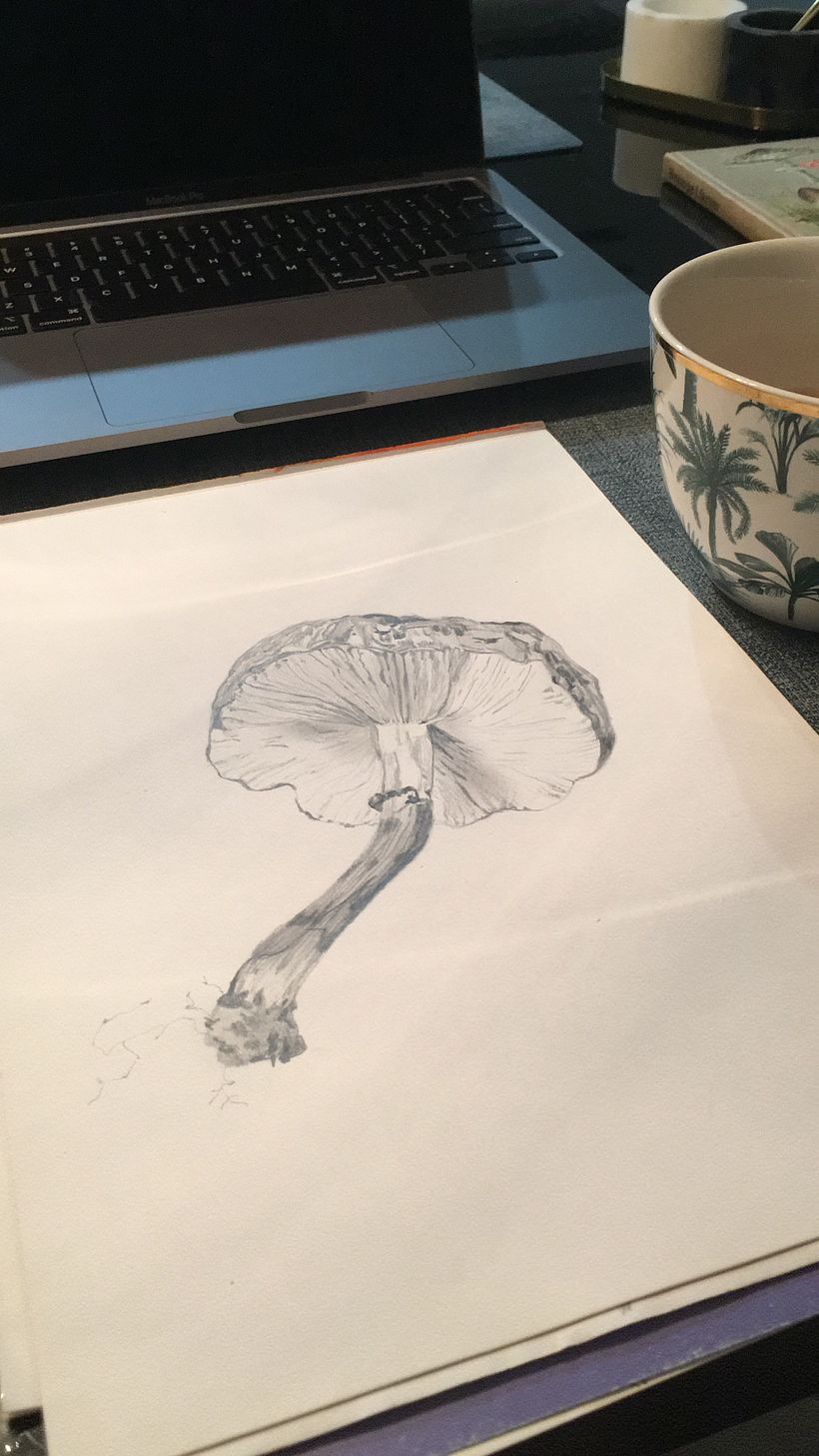 Fungi 1