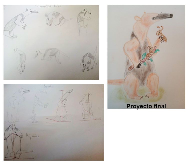 Mi proyecto del curso: Dibujo a lápiz de animales realistas para cuentos 1