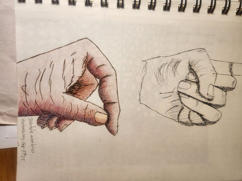 Mi proyecto del curso: Dibujo para principiantes nivel -1 Puno 8