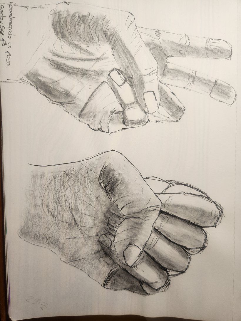 Mi proyecto del curso: Dibujo para principiantes nivel -1 Puno 9