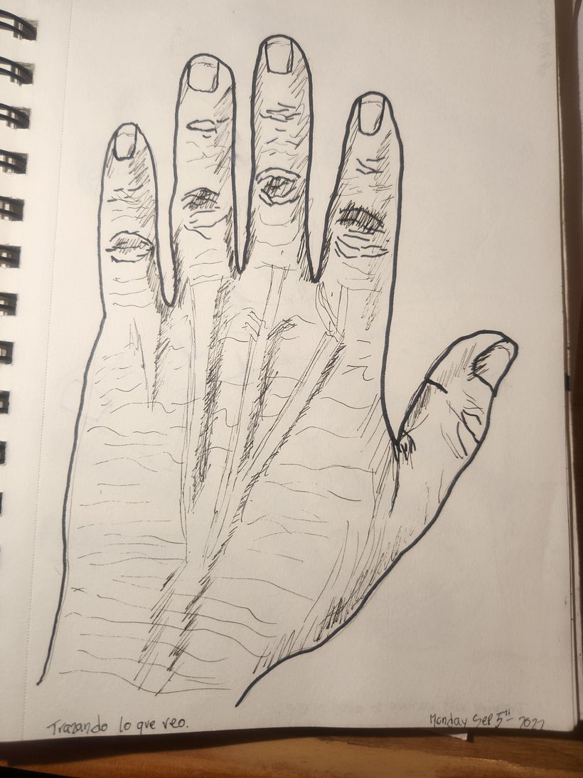 Mi proyecto del curso: Dibujo para principiantes nivel -1 Puno 11
