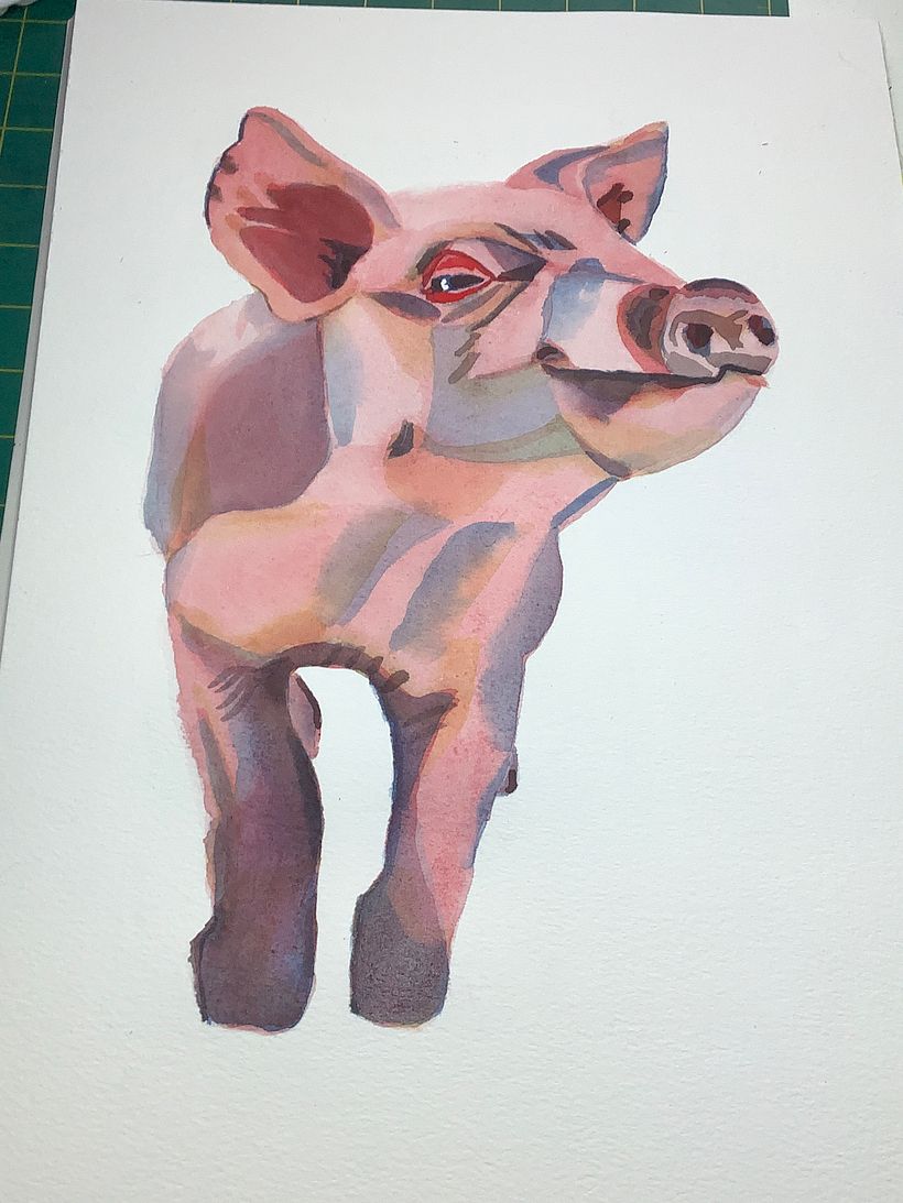 Stage 4: Further pink over entire body (wet on wet)