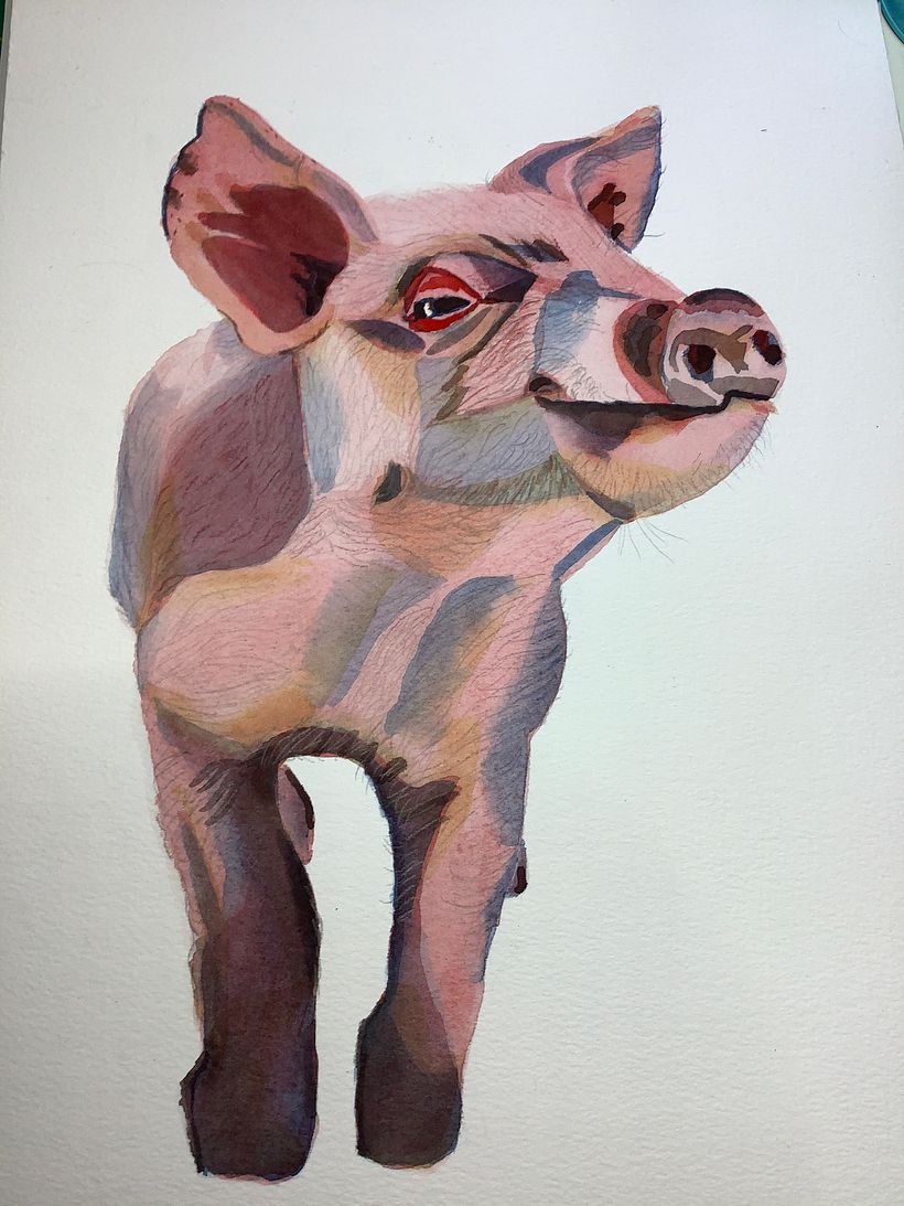 Stage 5: pencil details 