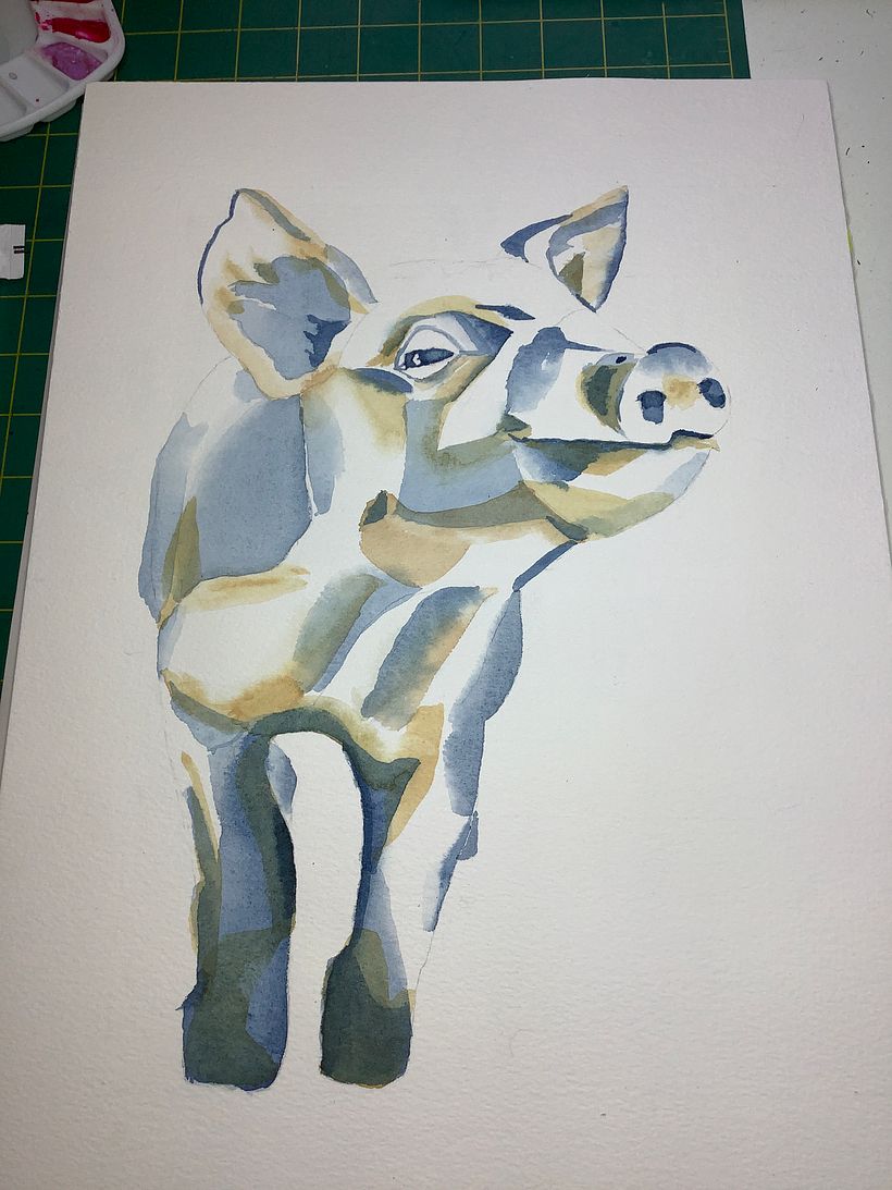 Stage 1: Initial shadow and yellow tones