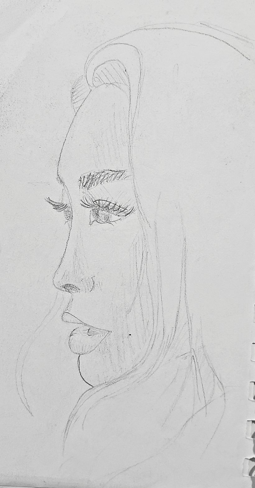 My project for course: Portrait Sketchbooking: Explore the Human Face 2
