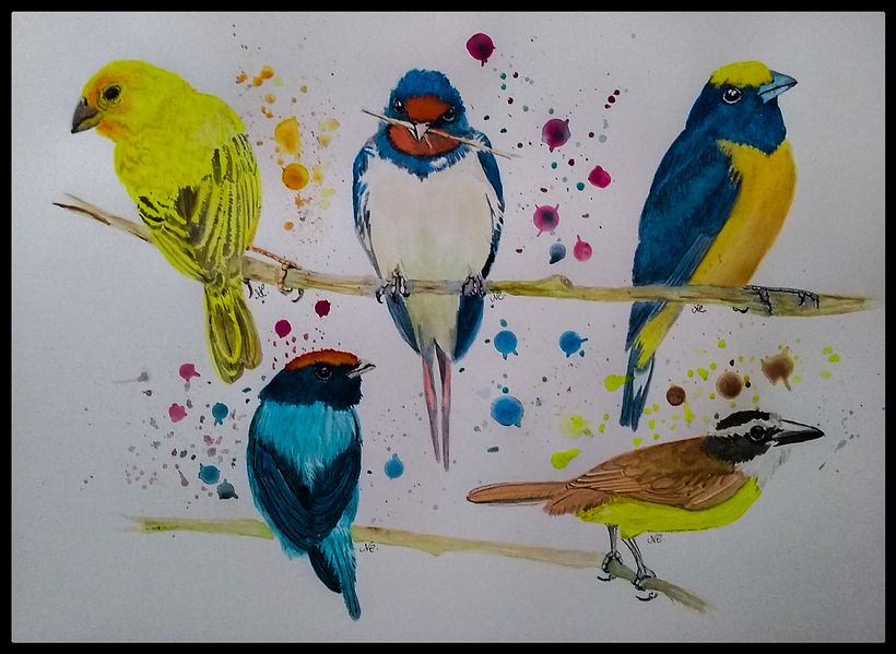 Técnica expressiva em aquarela  2