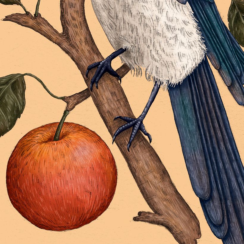 My project for course: Natural Illustration with Digital Painting 3