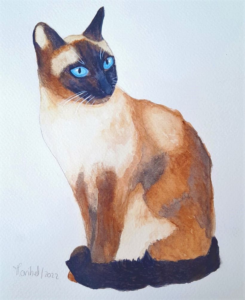 Mi Proyecto del curso: Retratos expresivos de animales en acuarela 2