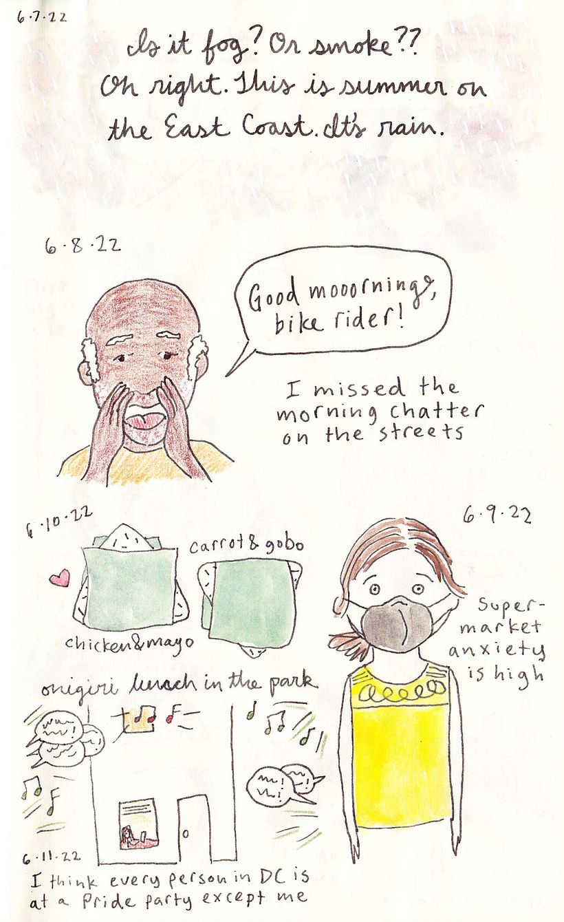 D.C. Visual Diary 1