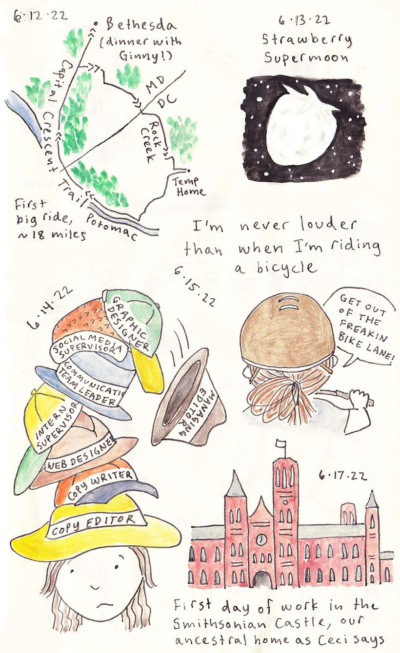 D.C. Visual Diary 2