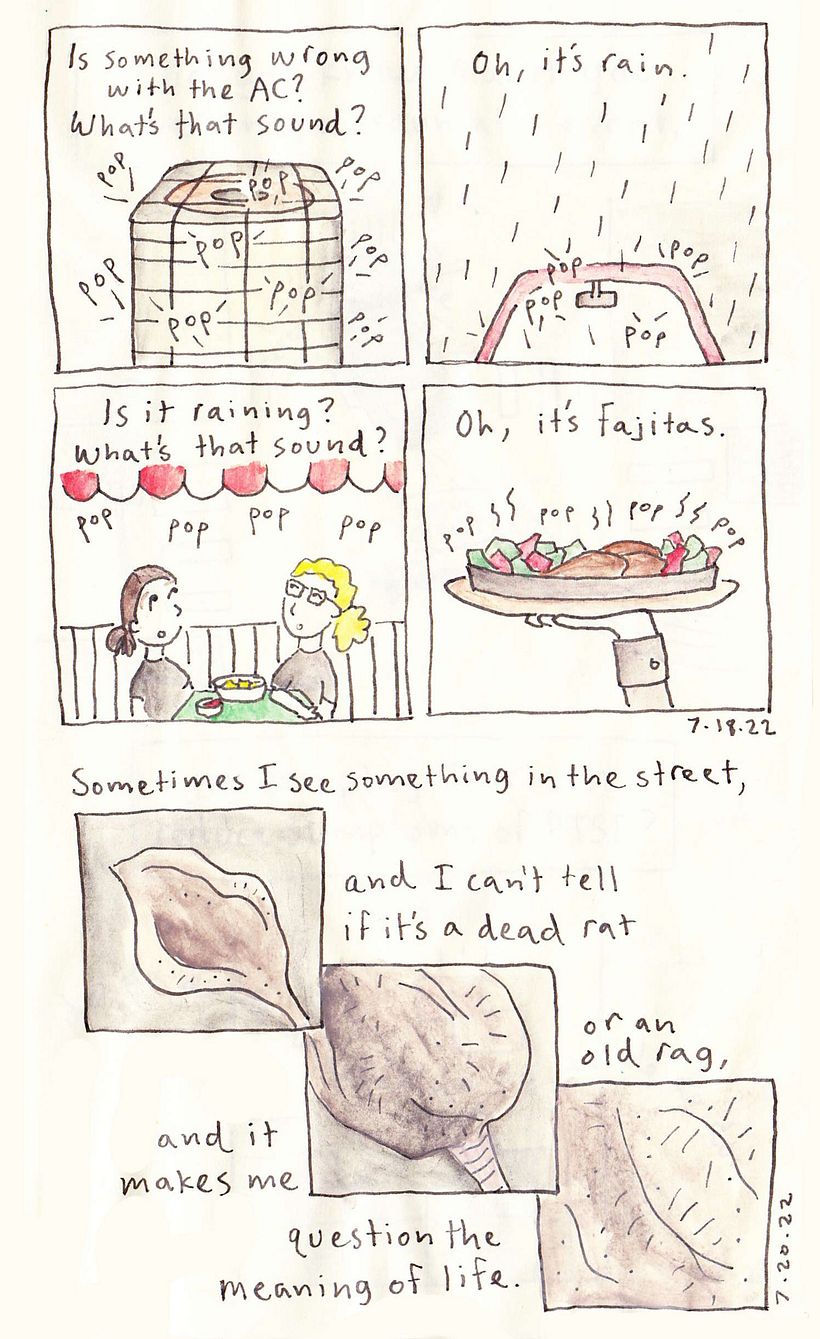 D.C. Visual Diary 6