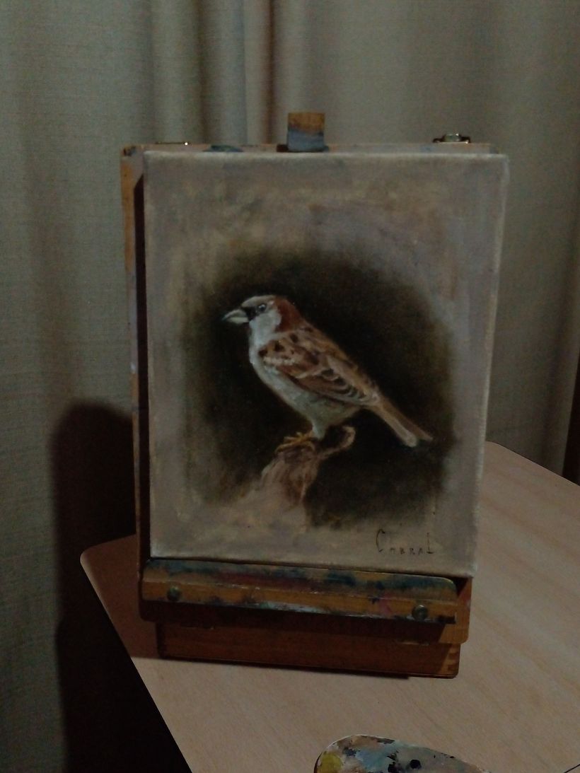 Mi proyecto del curso: Pintura al óleo para retrato naturalista de aves 3