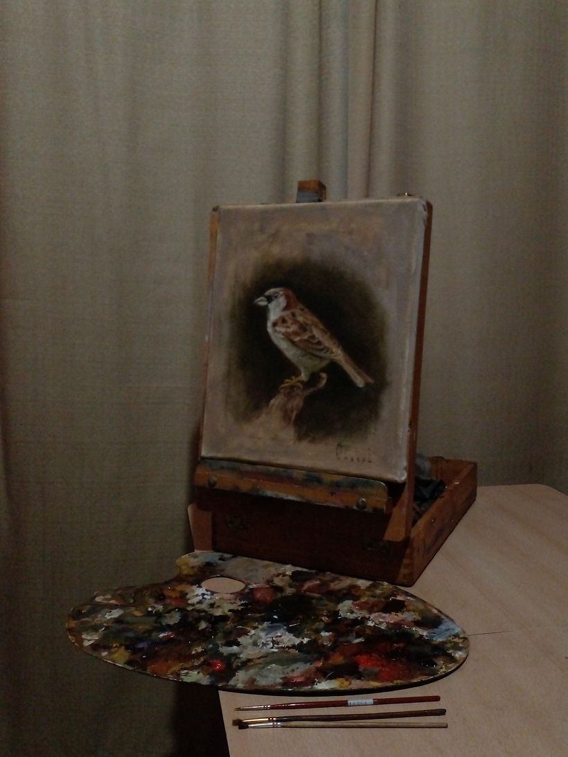 Mi proyecto del curso: Pintura al óleo para retrato naturalista de aves 4