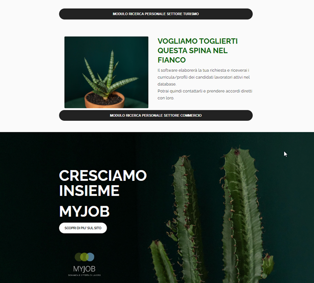 Landing page progetto MyJob cerco/offro lavoro 2